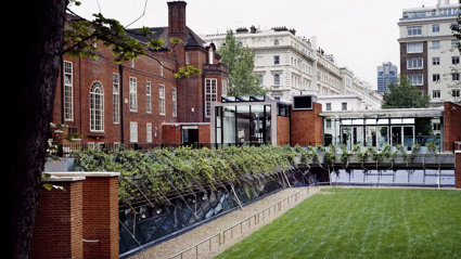 The Royal Geographical Society building seen from the garden, with a large field of grass in front of the old, red-bricked building.