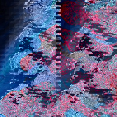 Red and blue world map image