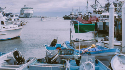 Boats and ships in port.