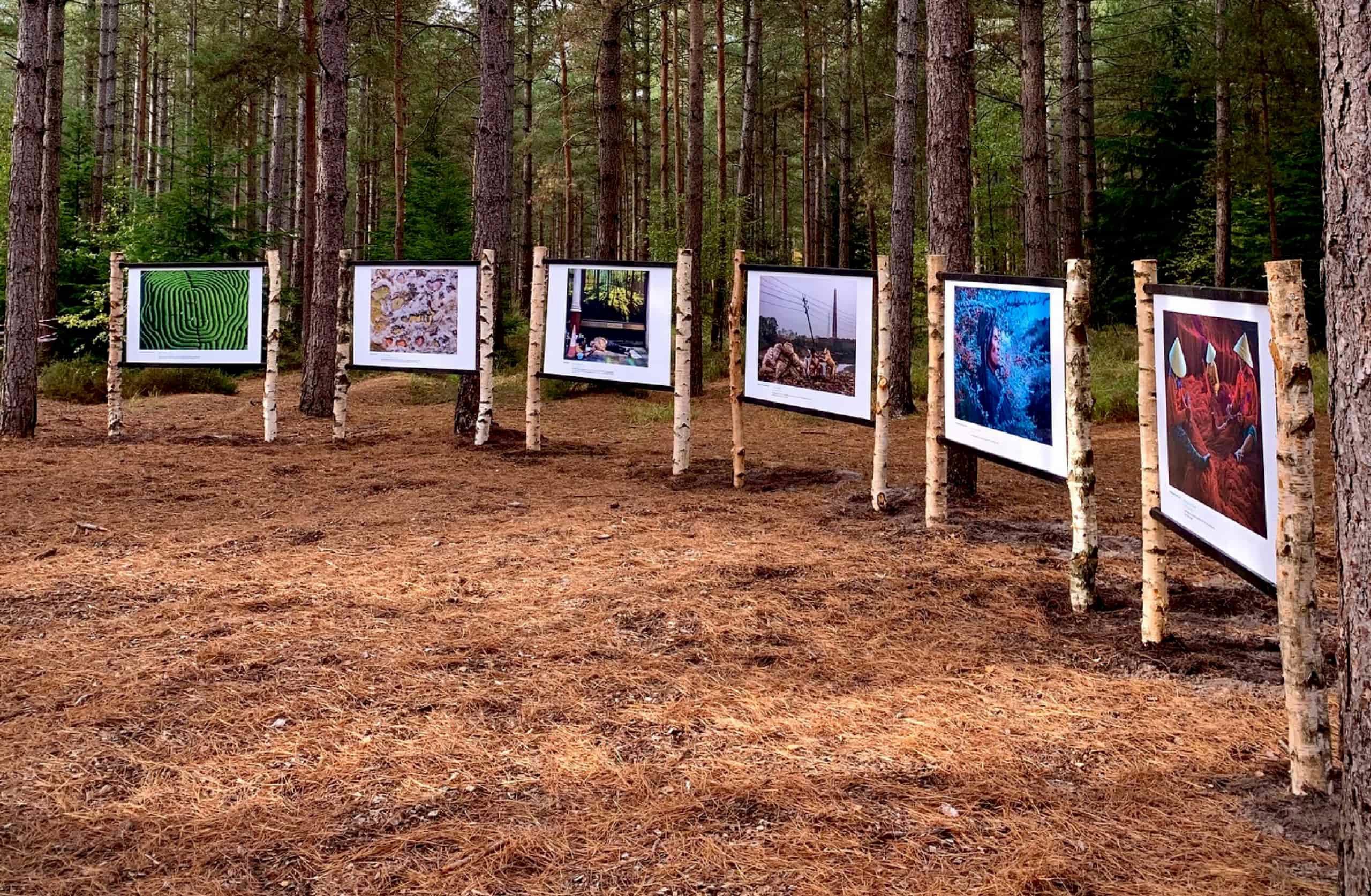 Earth Photo: in conversation with winning photographers | RGS