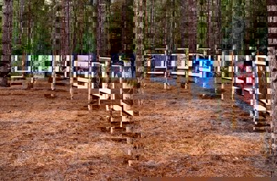 A series of the Earth Photo images hanging in a forest 