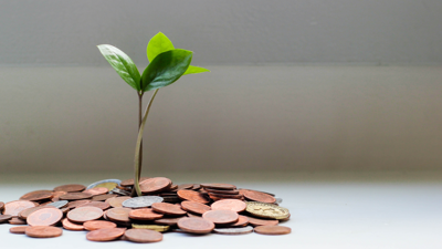 A two stemmed, four leaf plant erupts from a small pool of copper coins on laid out on a white table.