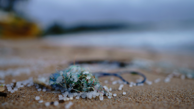 A tangled plastic net lays on a dim sandy beach with water approaching the shore in the background.