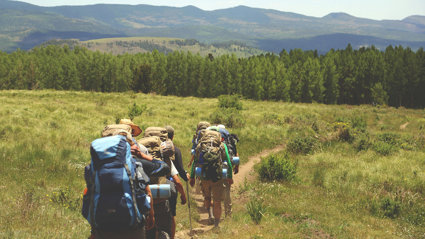 Backpackers seen from behind walking on a dirt trail between green grass background of tree.