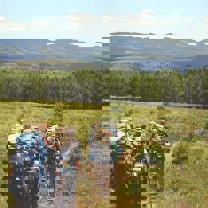 A group of people wearing heavy camping backpacks trekking across an open meadow towards an evergreen woodland. There are green hills in the backgorund with more woodland.
