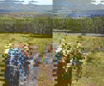 A group of people wearing heavy camping backpacks trekking across an open meadow towards an evergreen woodland. There are green hills in the backgorund with more woodland.