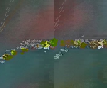 An areial view of trees wihtin a body of water