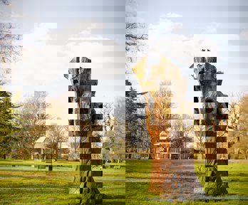 Cassiobury Park in Watford