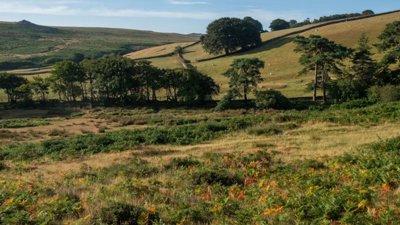 British countryside green hills.