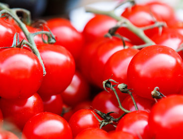 Bunches of small red tomatoes, some stalks are showing