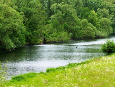 Environmental conservation area with river flowing through.