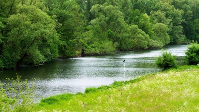 Environmental conservation area with river flowing through.