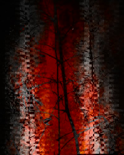Wildfires