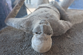 dead man in Pompeii