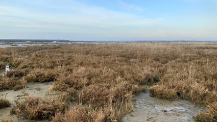 Lago Bastia wetlands site.
