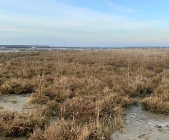 Lago Bastia wetlands site.