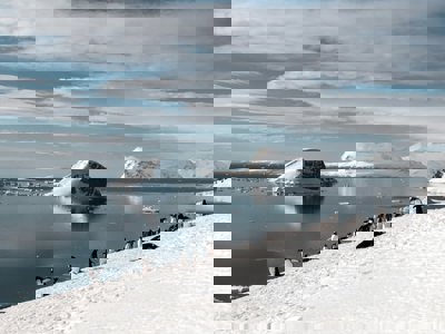 A view over Antarctica showing mountains and penguins