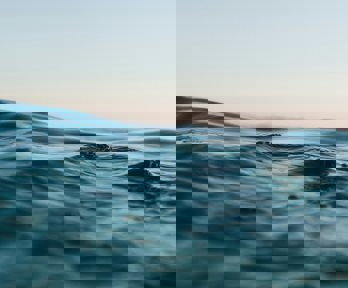 The ocean