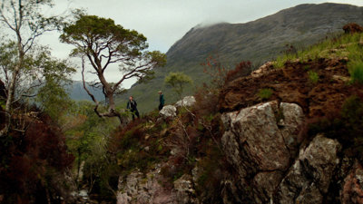 Two people standing on a rocky area looking at a pine tree.