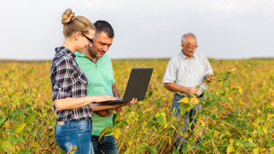 Two people stand in an agricultural field looking at a laptop while a third person examines a plant.