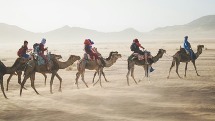 Five people ride camals through the sahara desert in morocco