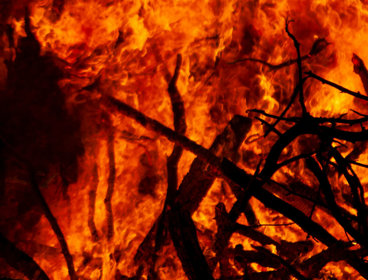 Burning sticks and flames