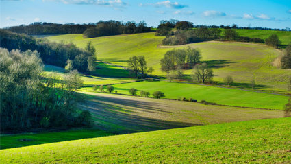 Undulating open fields with trees lining the field boundaries.