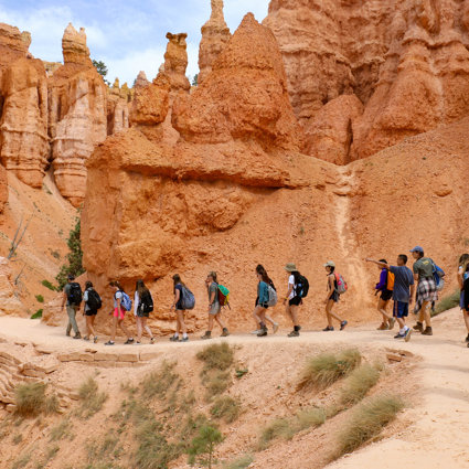 A group of students walking in a line through a red sandstone environment, with rocky outcrops and small bushy green plants 