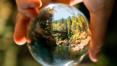 Hand holding a glass ball reflecting a landscape.