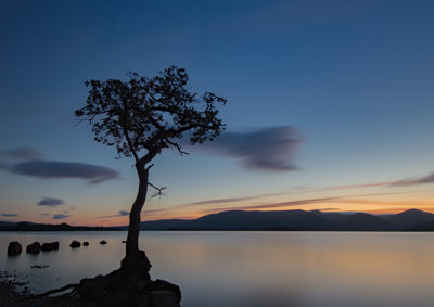 Tranquil landscape of a tree with a still lake and mountains in the background