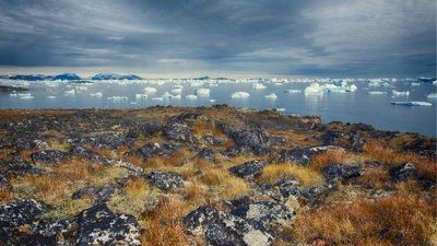 Greenland landscape with water and ice in background. 