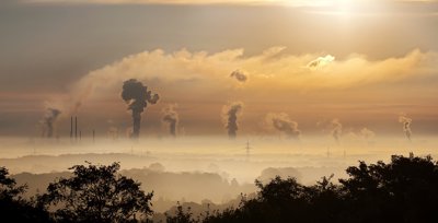 A hazy sky at sunrise, with industrial pollution rising from chimneys in the background and the tops of trees visible in the foreground