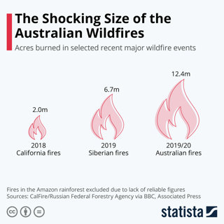 A diagram where drawn flames shapes are used of different sizes to show how Australian wildfires compared to those in California and Siberia.