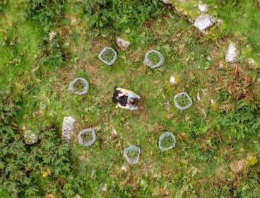 Aerial view of a person with a cello, sat in a circle of newly planted trees. 