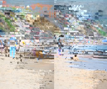 People on a beach walking and playing