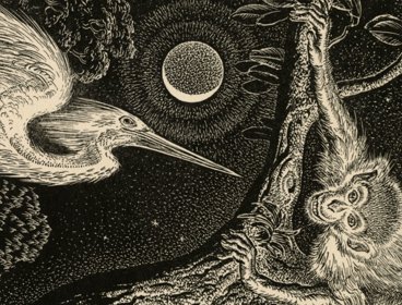 Illustration of a monkey and heron from Sybille Noel's 'The Magic Bird Of Chomo Lung Ma’.