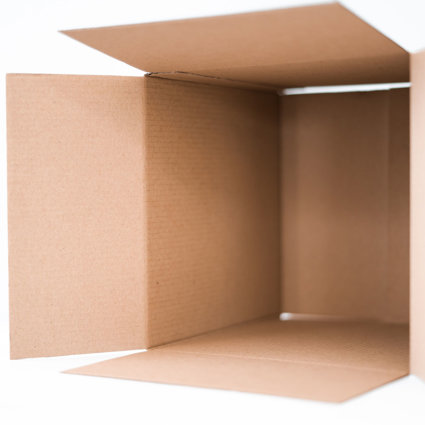 An empty cardboard box, placed on its side so you see see inside it