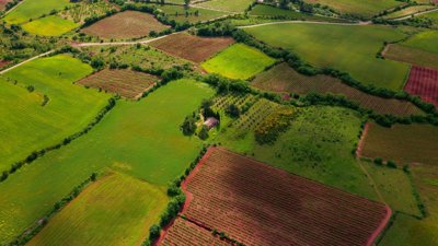 A birds eye view of green feilds filled with grass, trees and farmland.