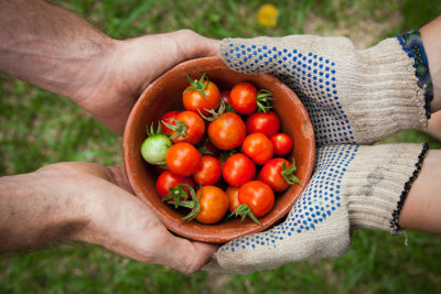 Two pairs of hands holding a bowl of tomatoes together