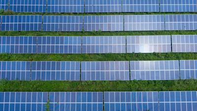 Lines of solar paels on a bed of grass