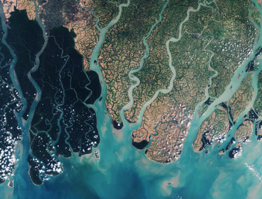 Remote sensing image of a river delta