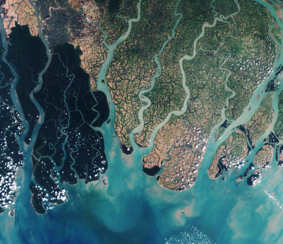 Remote sensing image of a river delta
