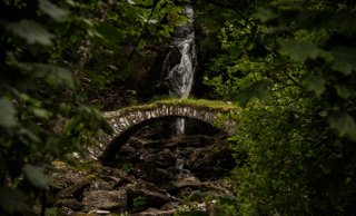 Rewilding in Scotland