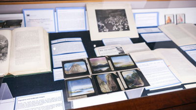 Collections display 