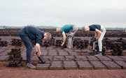 Three people bending to stack rectangular peat blocks in neat rows on muddy ground under an overcast sky.