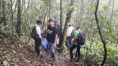 A group standing in a rainforest in Panama.