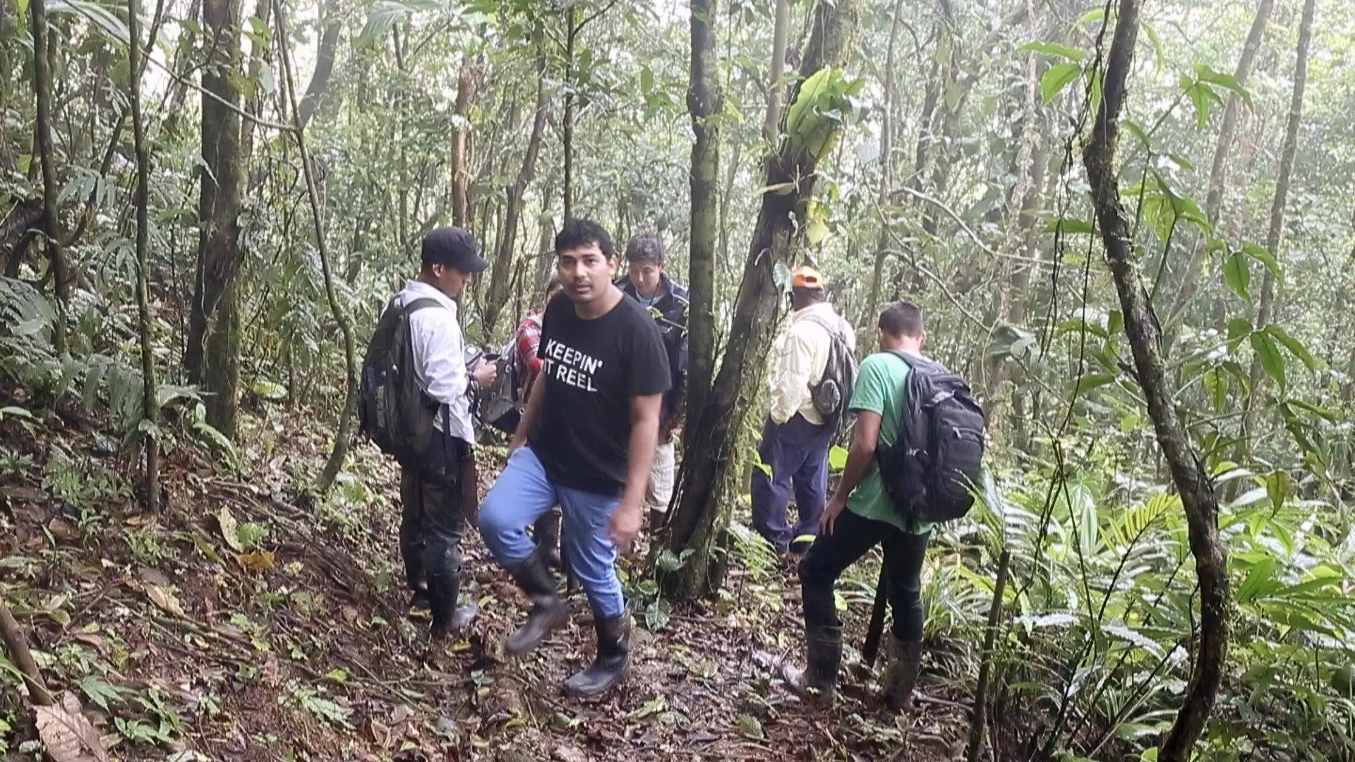 A group standing in a rainforest in Panama.