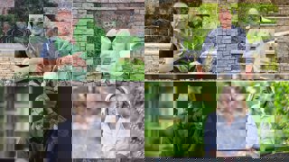 A collage of portrait photos of four people, the top two and bottom right one each stand outdoors in a garden, while the person in the bottom left is inside.