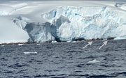 A view of the edge of the ice shelf in Antarctica