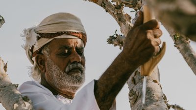 Person conducting Omani heritage craft.